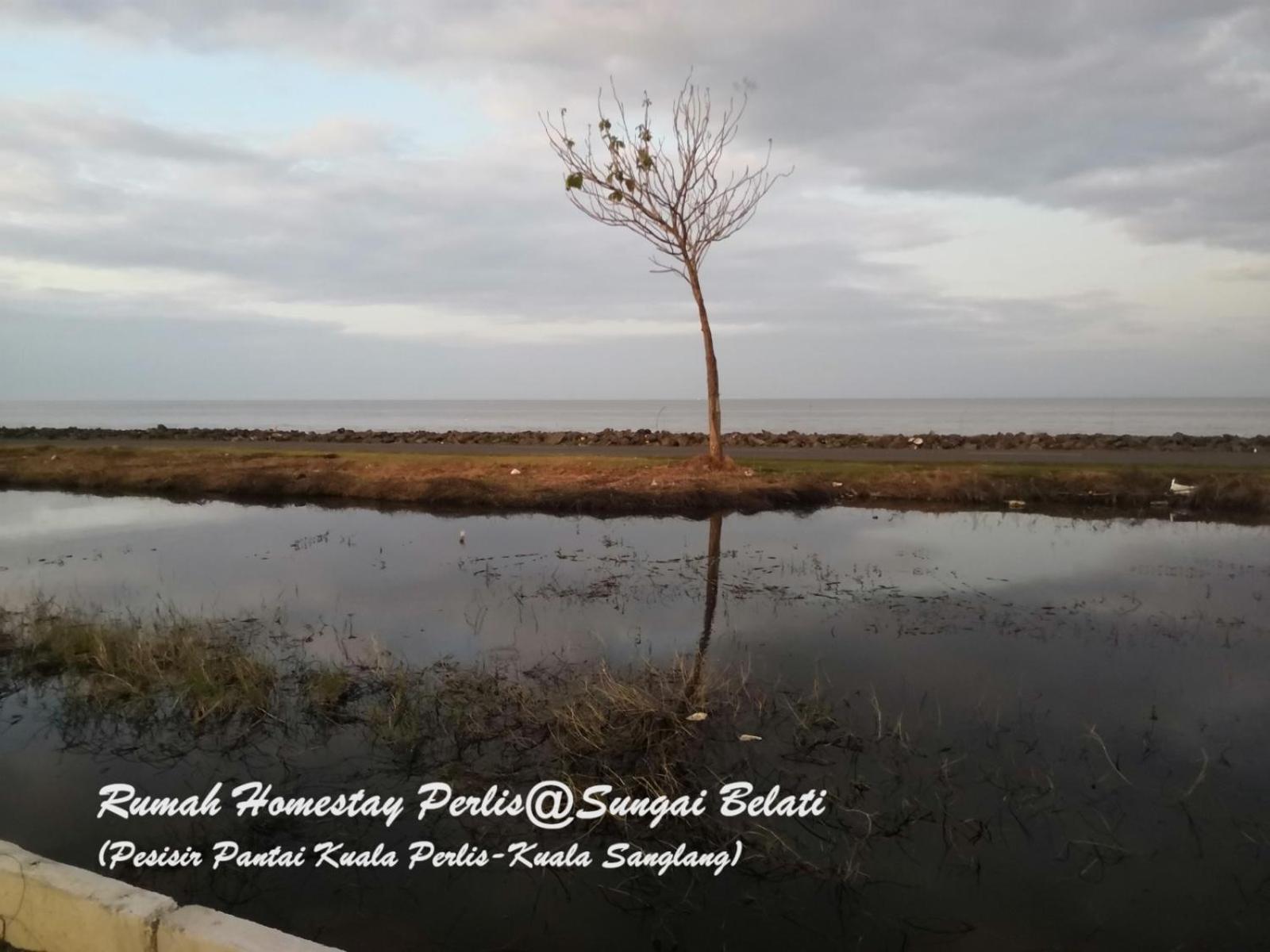 Simpang Empat  Rhumah Sungai Belati 빌라 외부 사진